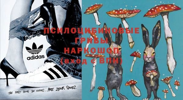 ГАЛЛЮЦИНОГЕННЫЕ ГРИБЫ Лабытнанги