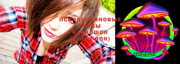 ГАЛЛЮЦИНОГЕННЫЕ ГРИБЫ Лабытнанги