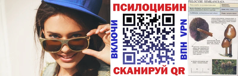Галлюциногенные грибы MAGIC MUSHROOMS  Северская 